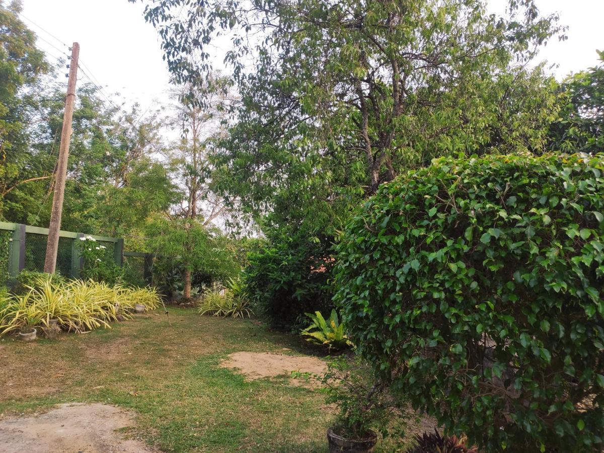 Bird House Homestays Tangalle Luaran gambar