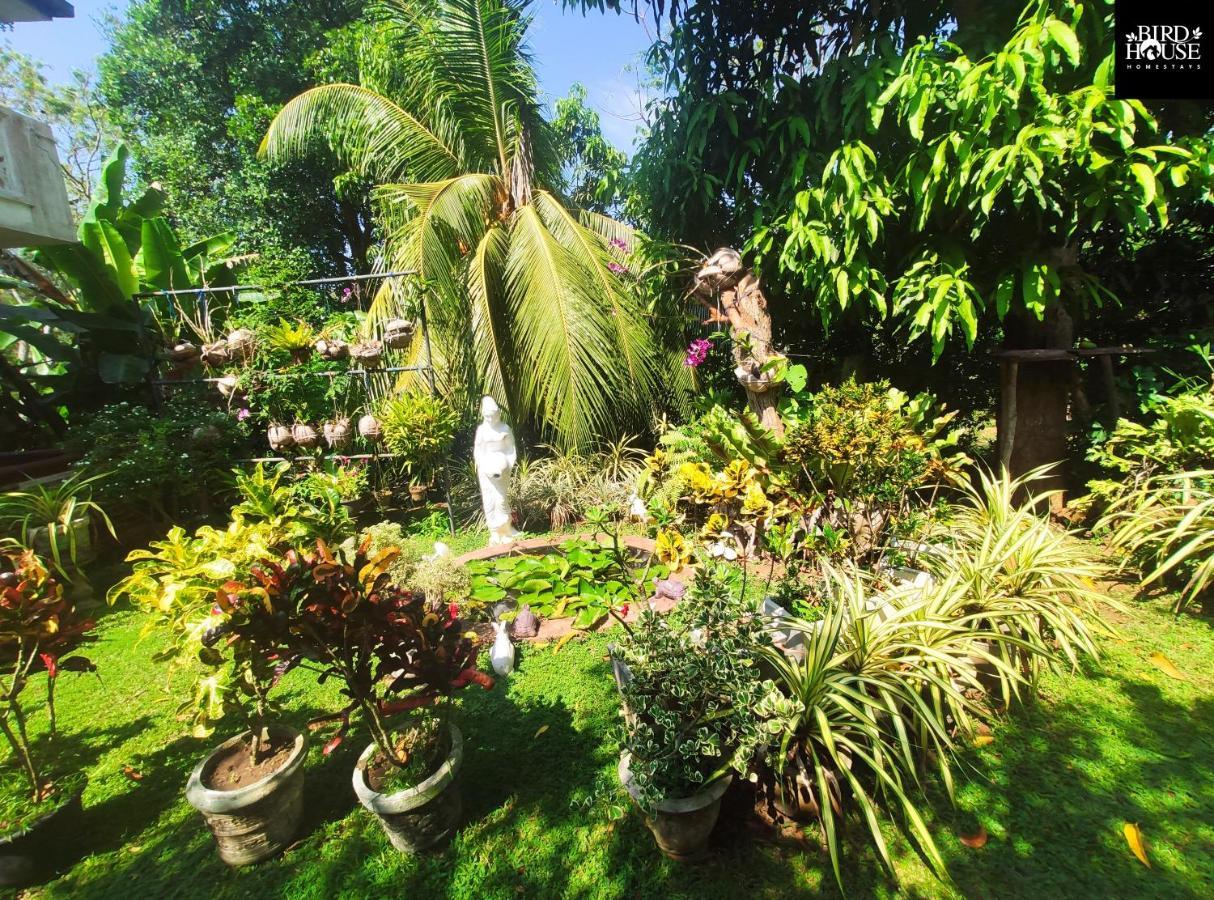 Bird House Homestays Tangalle Luaran gambar