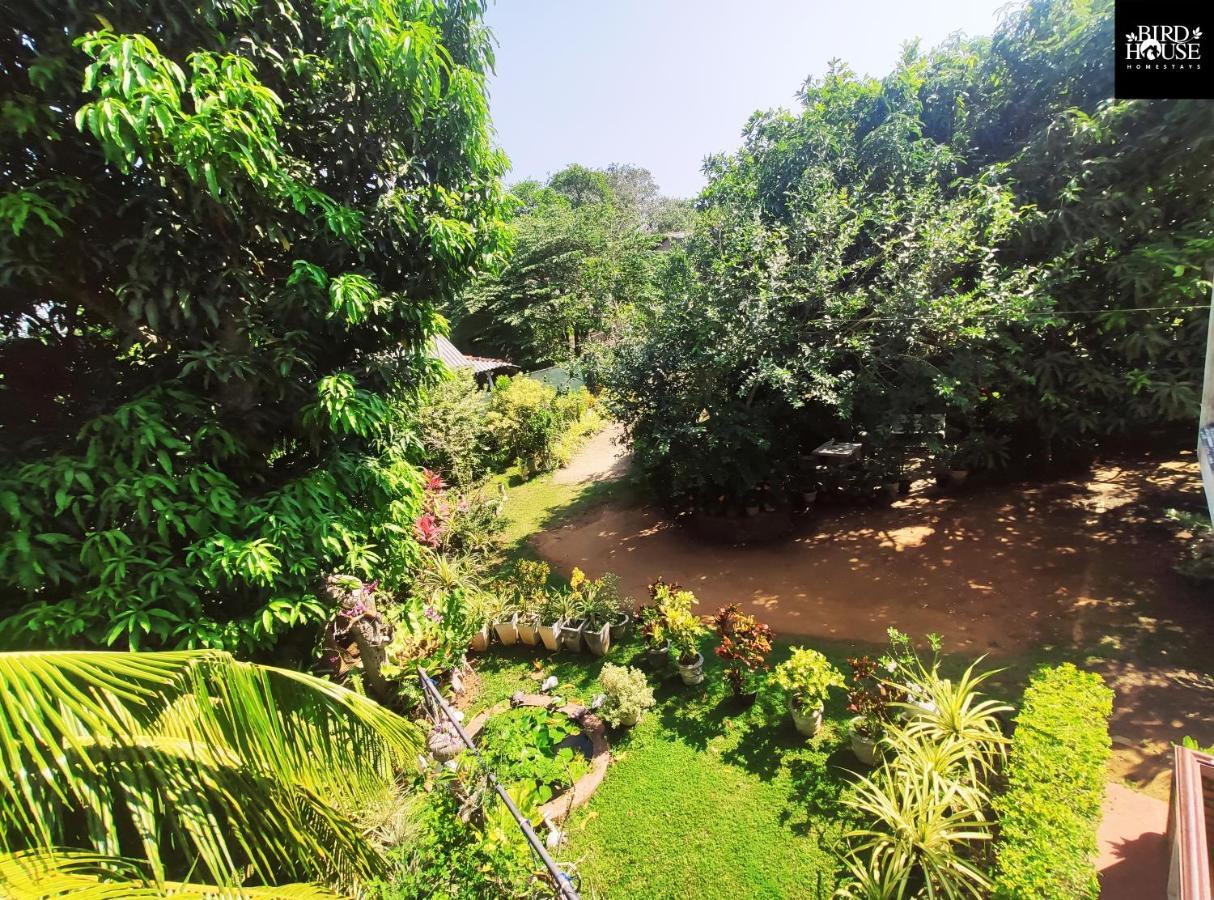 Bird House Homestays Tangalle Luaran gambar